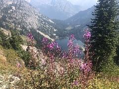 Maple Heather Trail, WA